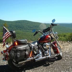 Meet your Posher, Carlos